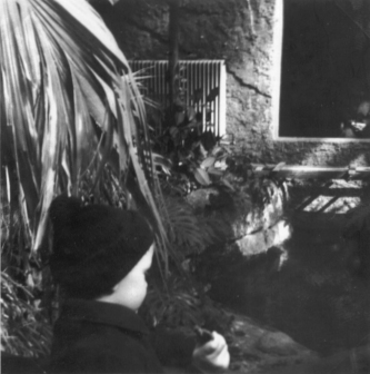 Photo: Auf der Fußgängerbrücke in der Krokodilhalle im Zoo-Aquarium in Berlin(West). 1967. Photo: Erwin Thomasius.