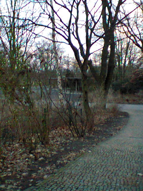 Farbfoto: Blick Richtung Hasenschänke mitten in die Hasenheide. Im Februar des Jahres 2013. Copyright by jen