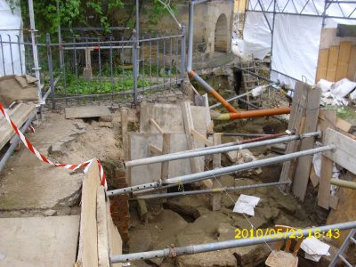 Farbfoto: Der Tausendjährige Rosenstock im Hildesheimer Mariendom während der Domsanierung im Mai 2010. In der linken Bildhälfte oben: Der Tausendjährige Hildesheimer Rosenstock. Fotograf: Kim Hartley.