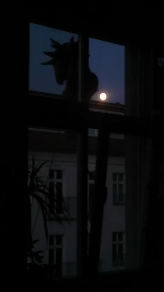 Ein Foto vom Vollmond. Ralf Splettstoesser hat das Foto aus seiner Wohung in der Rigaer Strasse 94 aus durch das Fenster hindurch gemacht.