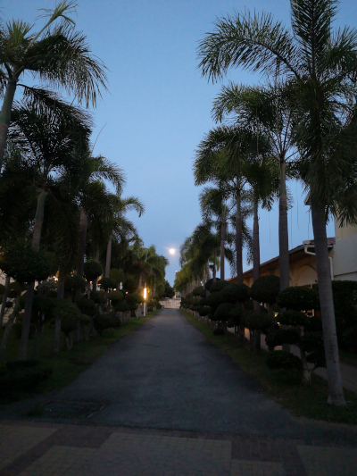 Foto von einem sich füllenden Vollmond. In Thailand in Pattaya an der North Pattaya Road. Im April des Jahres 2025. Fotograf: Erwin Thomasius.