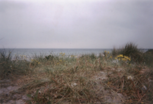 Photo: Eine Düne im Ishoj Strandpark bei Kopenhagen und dahinter die Ostsee. Mai 2002. Copyright by jen.