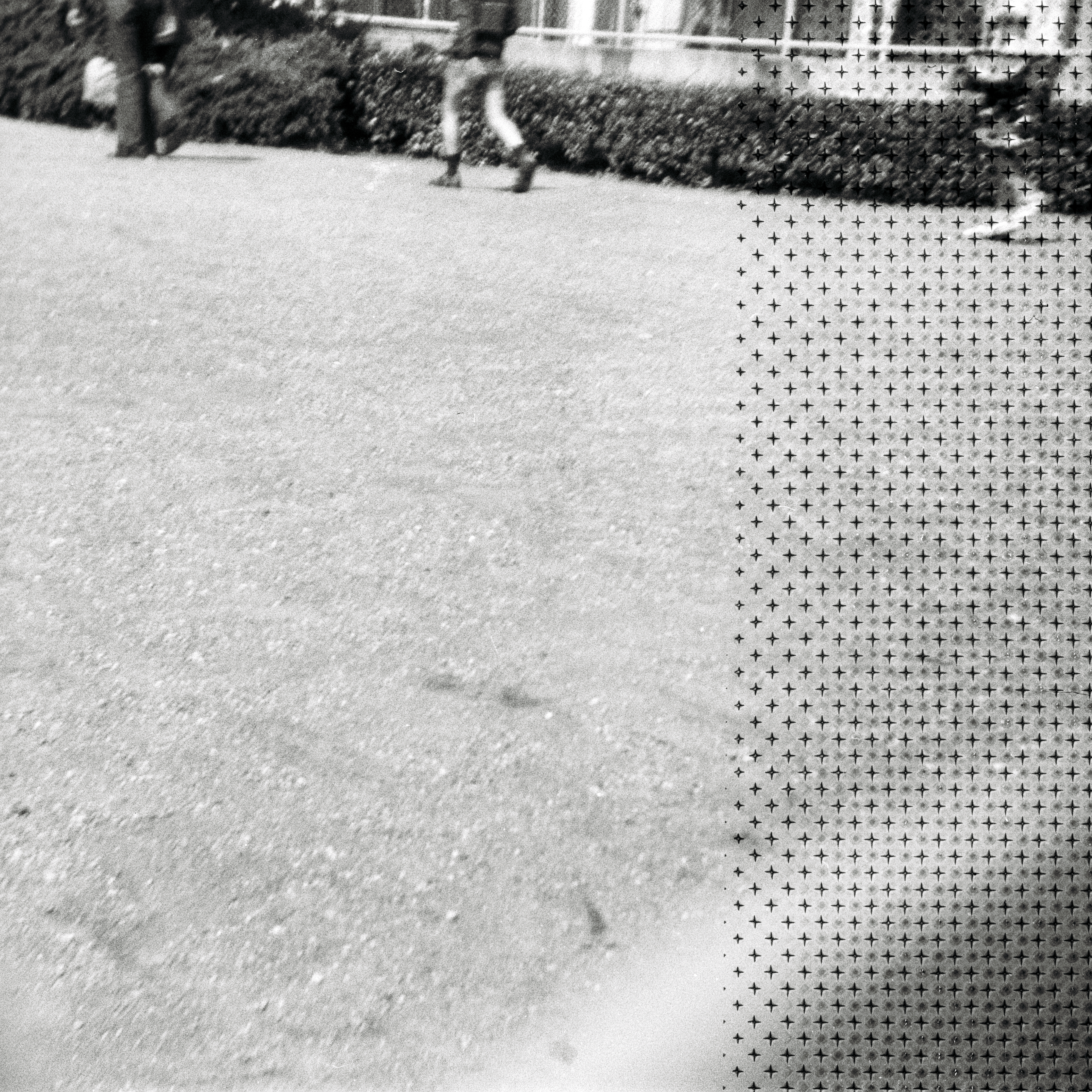 Foto von Menschen im Rotterdamer Zoo. Und ein Filmende. 1966.