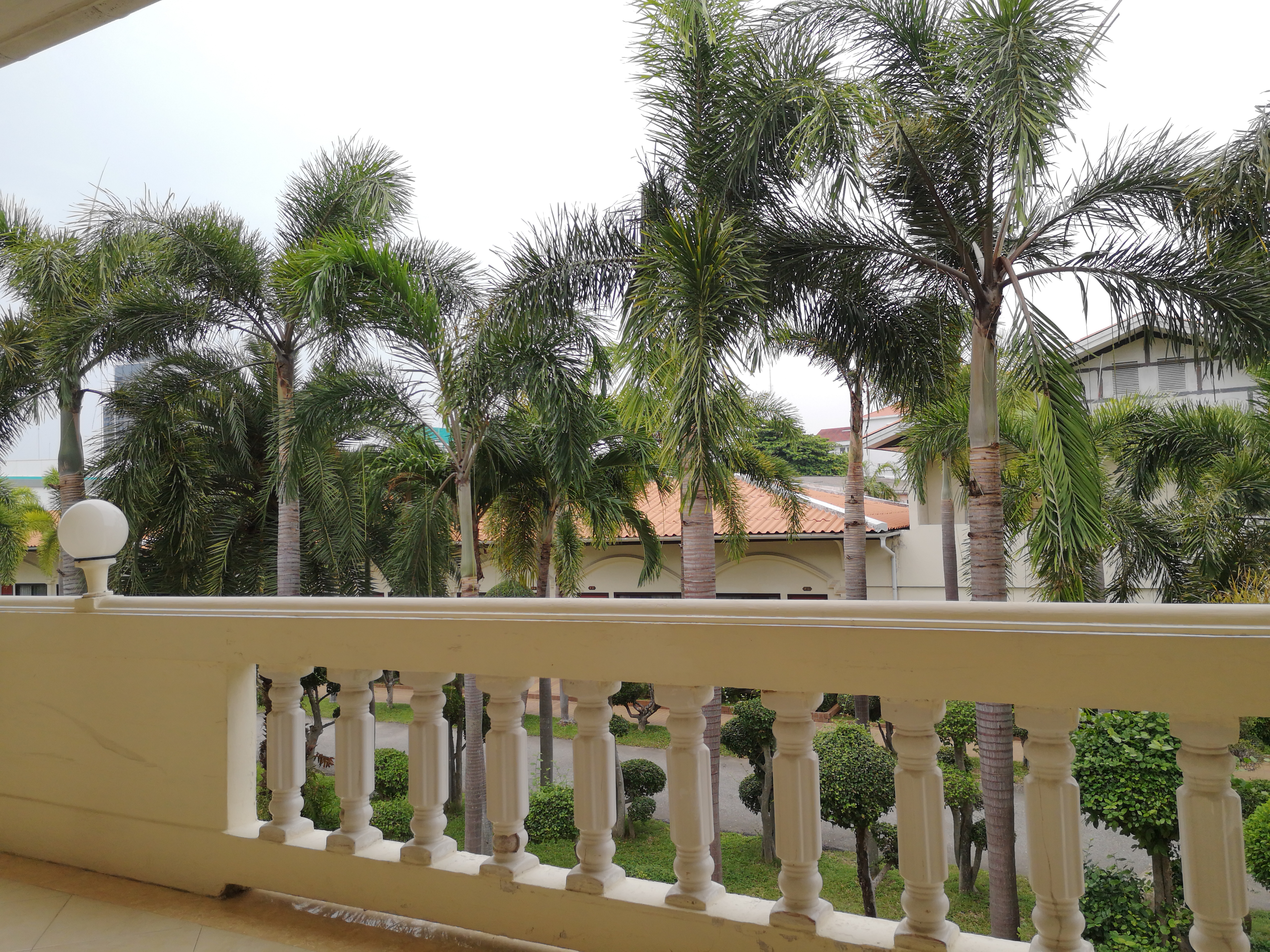 Foto von einem Blick auf und durch Palmen, in Thailand. Im April des Jahres 2025. Fotograf: Erwin Thomasius.